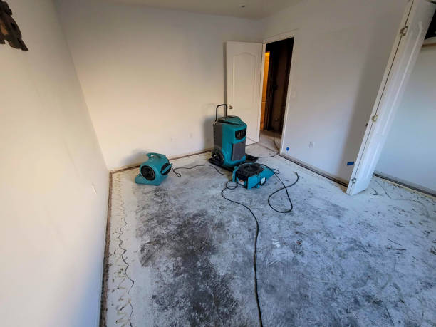 Best Water damage contractors near me  in West York, PA