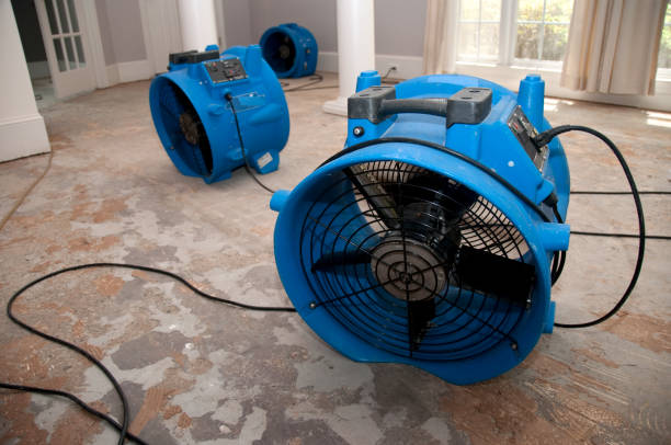 Best Water damage restoration services  in West York, PA