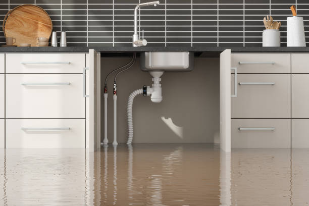 Best Water damage restoration near me  in West York, PA